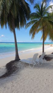 Sandy Beach: Natural Umbrellas