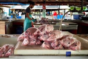 Person Cleaning Fish